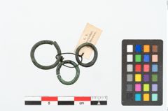 Foto von Bronzering (NHMW-PRAE-026114)
